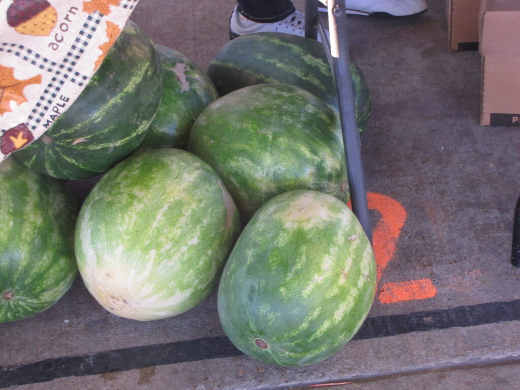 Watermelons for sale at Farmers market